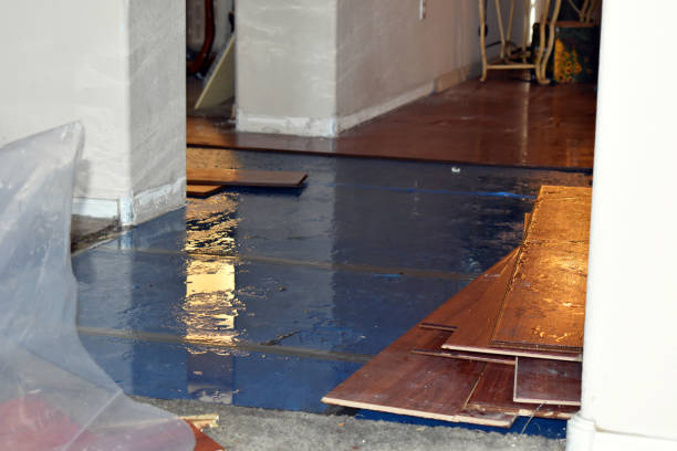Professional Sewage Cleanup technician working in Limington, ME